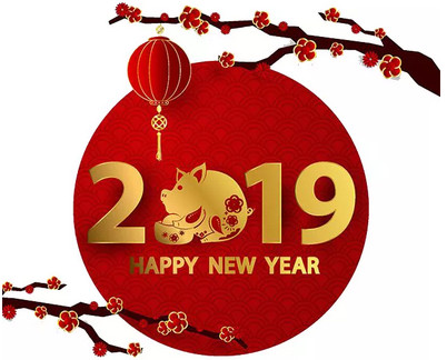 猪年大吉丨恭贺新春！